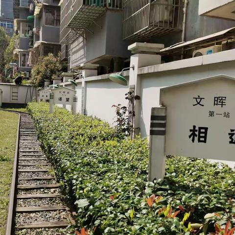 华山中学青年教师综合素养提升培训（三）