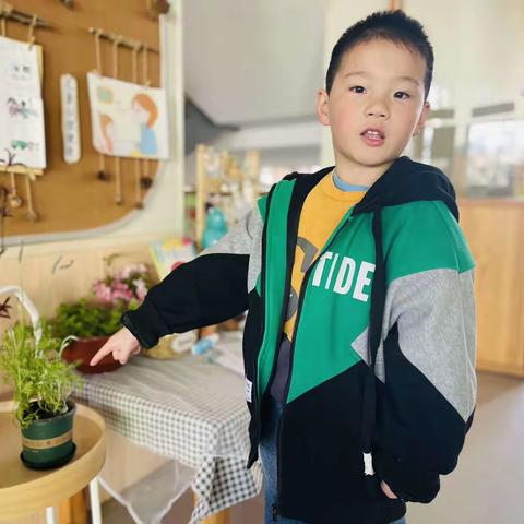 幼儿园里的一抹绿意——植物分享