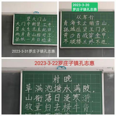 乘风破浪，不负韶华，聚力起航再谱新章——我在学习小组的成长