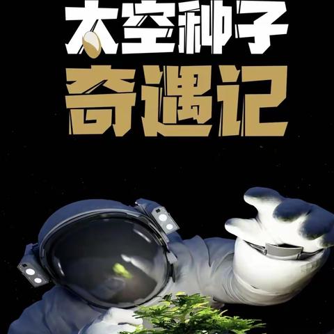 秦皇岛北戴河新区团林实验学校启动“科创筑梦”青少年太空种植科普活动