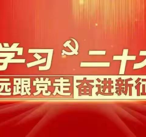 学习二十大     争做好队员