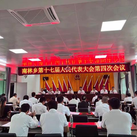 人代会凝心聚力，启新程共绘蓝图—南林乡胜利召开第十七届人民代表大会第四次会议