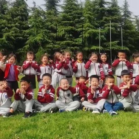 大秦幼儿园中四班五月精彩回顾