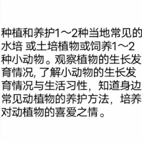 “我体验，我快乐”永惠小学二(4)班劳动实践成果展示