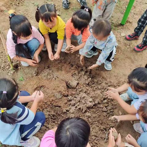 广饶县大王镇军屯幼儿园户外活动之自然课程“玩泥巴”