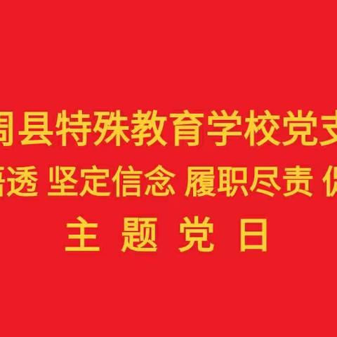 曲周县特殊教育学校党支部开展“学深悟透 坚定信念 履职尽责 促进发展”主题党日活动