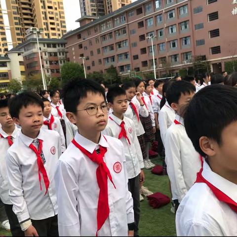 研学gogogo