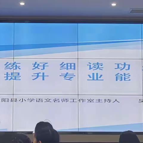 练好细读功夫，提升专业能力