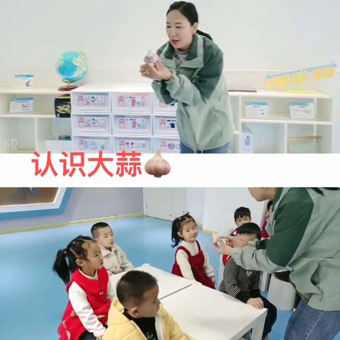 浮山县第二幼儿园—小五班 走进科学，大蒜之旅