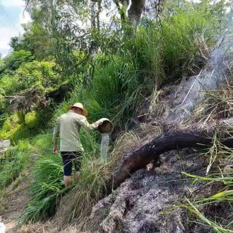 网格员救火显担当   消防意识心中留