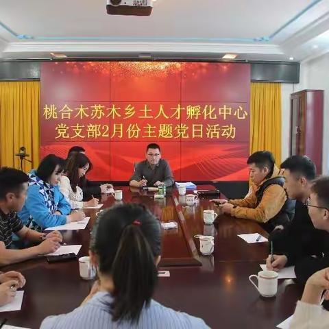 桃合木苏木城镇党组织积极开展主题党日活动