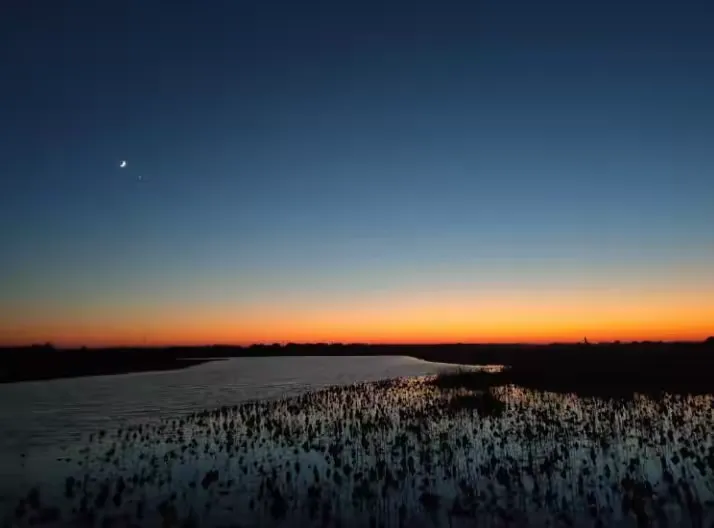 简篇-来一场感悟文史钩沉的体育嘉年华!