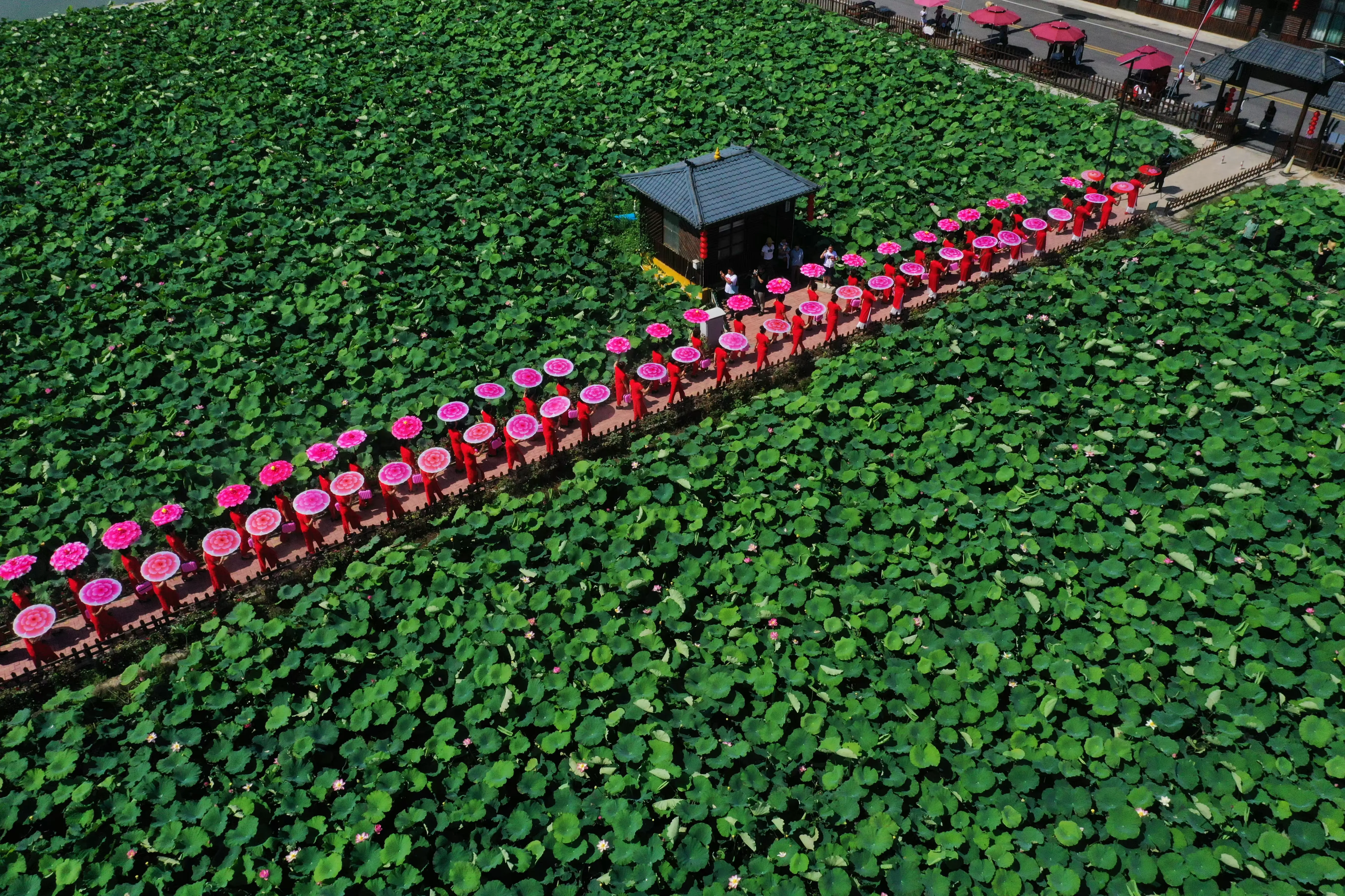 简篇-来一场感悟文史钩沉的体育嘉年华!