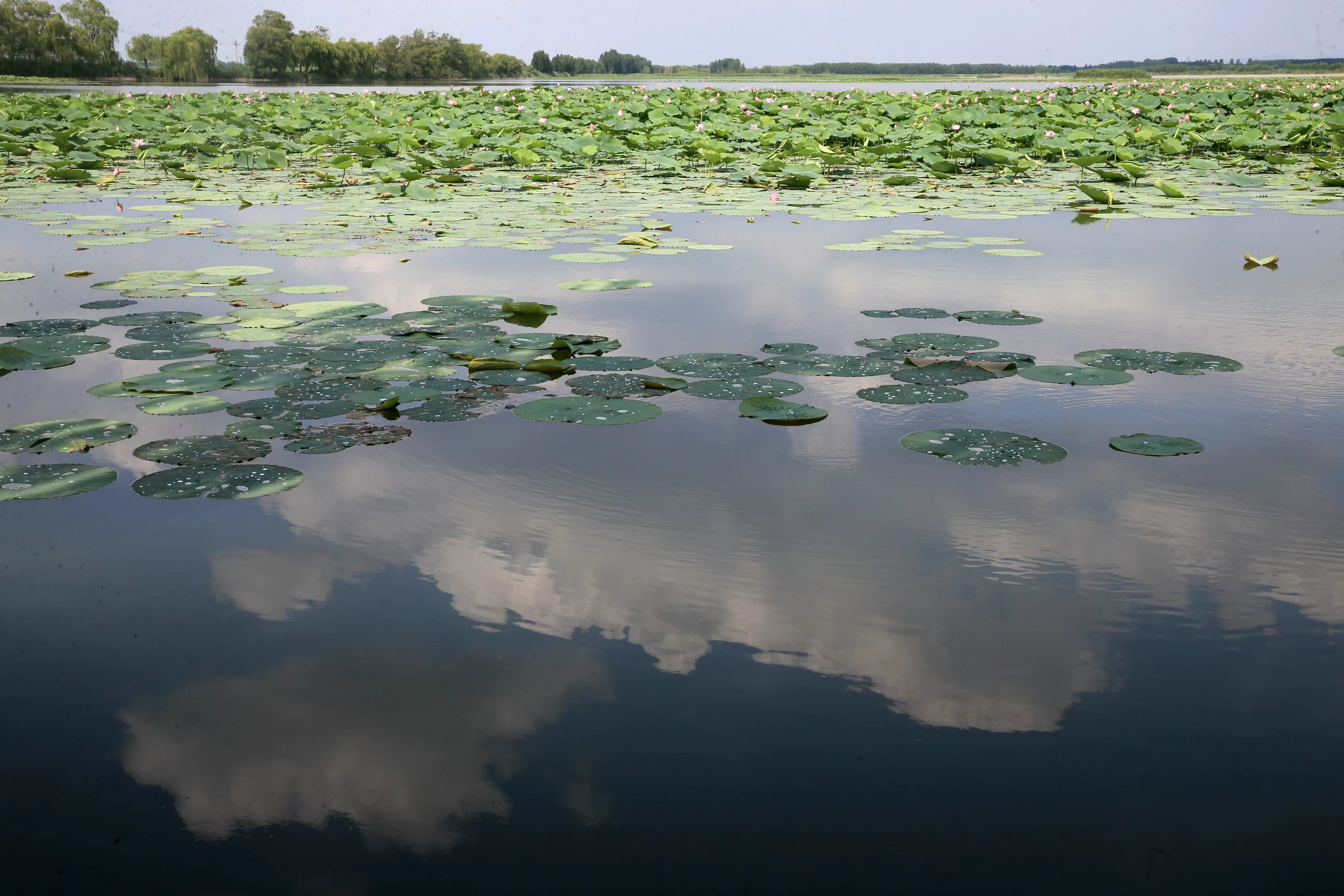 简篇-来一场感悟文史钩沉的体育嘉年华!
