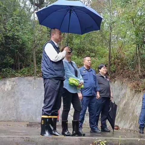 罗湖区森林防灭火工作日报（4月5日）