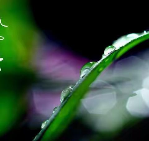 春风化雨，润物无声——高三、二班杨帆爸爸