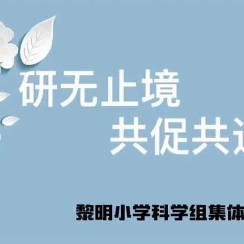 研无止境  共促共进—黎明小学科学学科校本教研活动