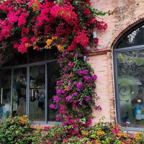 【班主任5组】“研”途花开“幼”见美好——第三批顺德区中小学教坛新秀培训项目深圳跟岗学习活动报道二