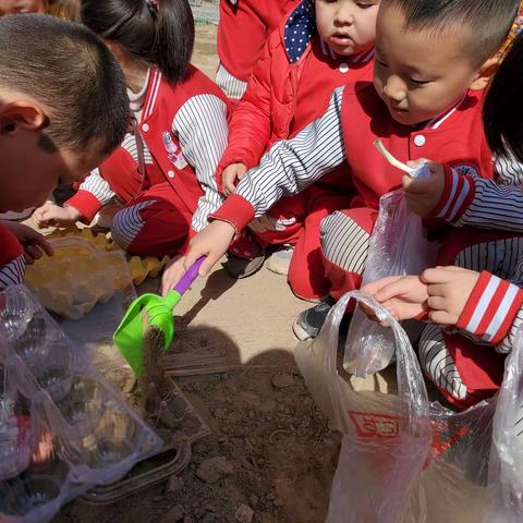 我与绿苗共成长——吴起县第二幼儿园大一班绿色主题教育活动