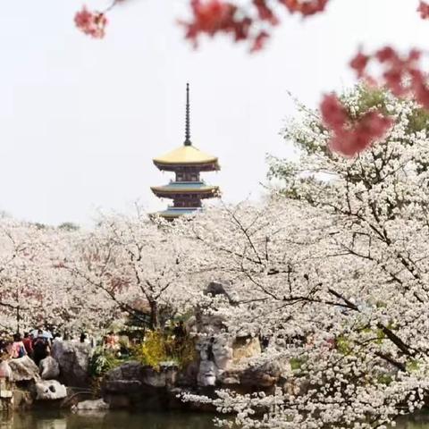 匠心问道 “研”路芬芳——武汉市幼儿园骨干教师高级研修班系列报道（五）