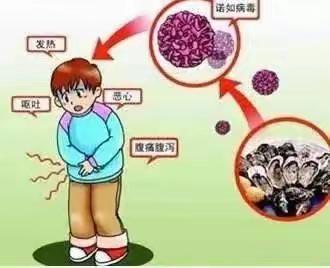 预防诺如病毒，从你我做起