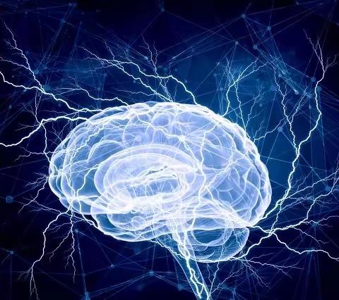 阅读《运动改造大脑》：重新建立身心连接