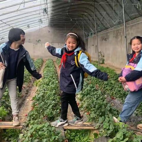 民主路小学三年级王怡然研究性学习植物会“流汗”吗？