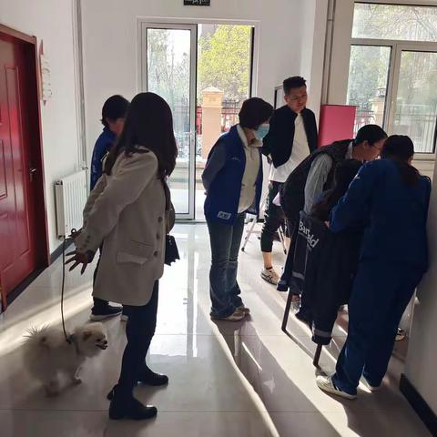 依法办理犬证，共建美好家园