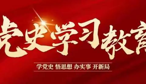 西口村党支部开展党史学习教育活动