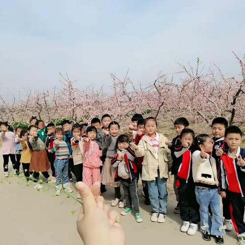 【故县教育】晨阳幼儿园    亲近自然，拥抱春天