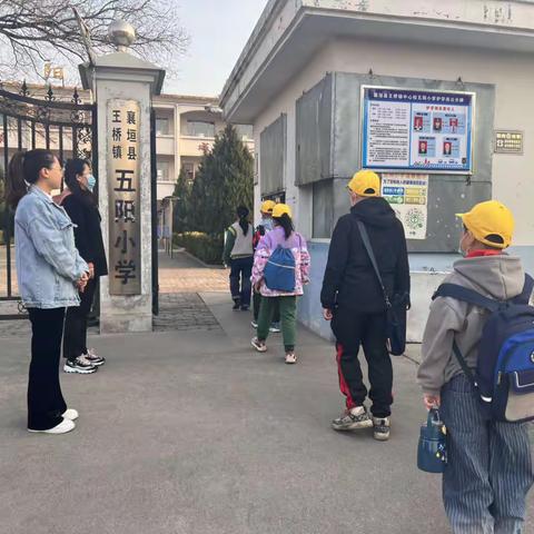 五阳小学一日工作动态