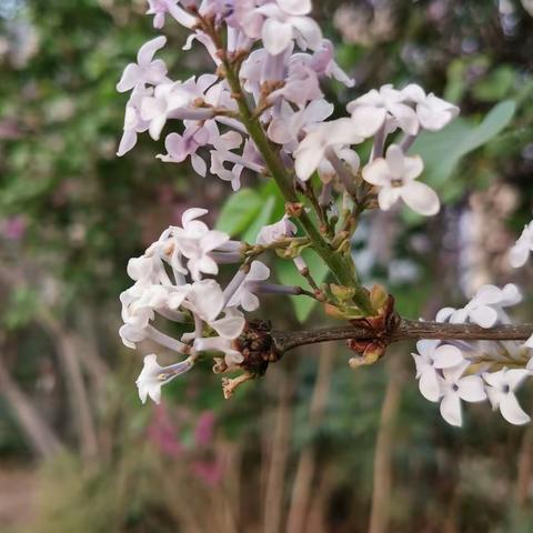 春草芳菲，乘风教研——记舜耕中学理化大教研活动