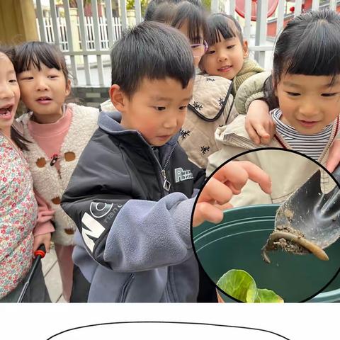 “泥”好，小花花