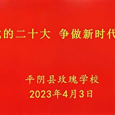 学习党的二十大 争做新时代好少年——玫瑰学校争做新时代好少年活动纪实