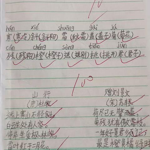 提笔写美字 墨香润校园