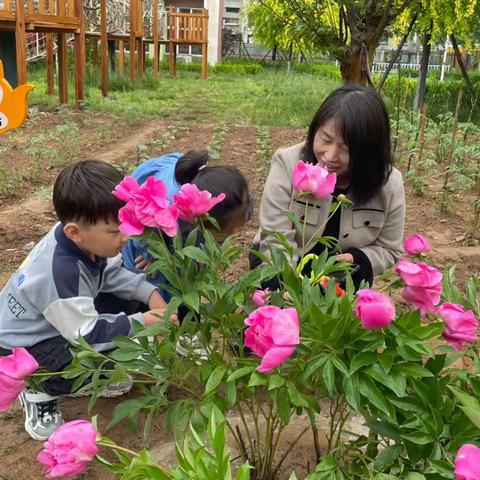 关爱学生 幸福成长｜“雨”你相约 探索自然——邱县第六幼儿园雨后探秘种植小站