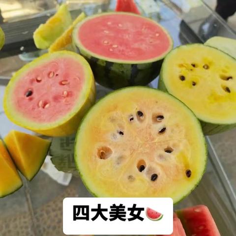 夏日炎炎 🍉西瓜甜甜——新乐市盛永种植专业合作社邀你吃瓜！