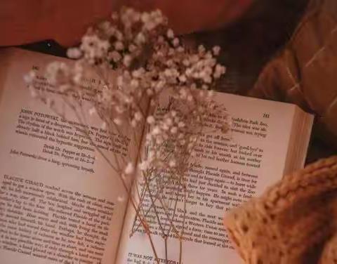 22汉语言1班 第六周优秀书评分享