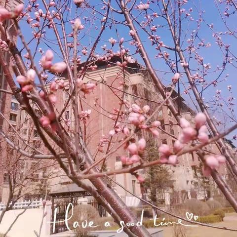 新湖仙林金谷二期3月份工作简报
