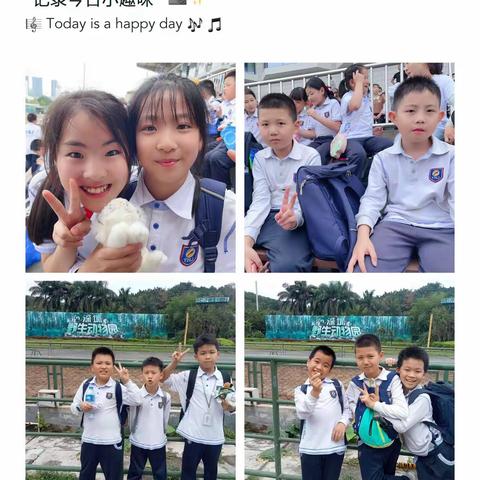 五月游记之动物园一日游🌞