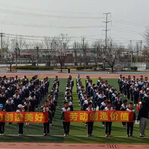 “春潮涌动正值景，播种奋楫待秋实”——兴港小学劳动基地实践活动纪实