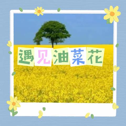 何小妹儿的美篇