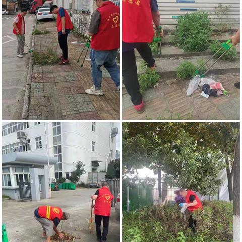 党建引领﹒“红动塘下，美丽我家”环境整治在行动 齐心协力迎亚运