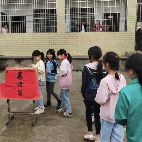 爱心“一元捐”，温暖递真情——九龙小学“一元捐”活动