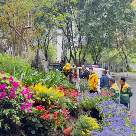 花镜提升显芳华 扮靓市民身边的缤纷花园