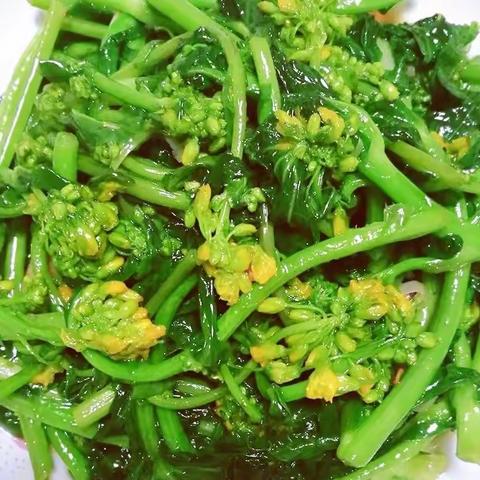 🌱《油菜花开了》🌿—— 家庭读书会