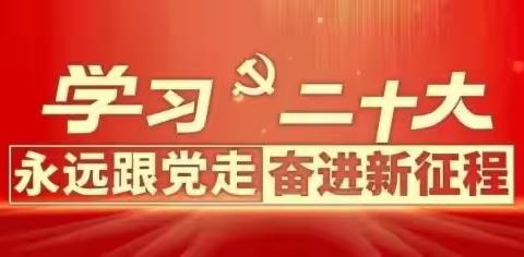 共青团成安县委举办团组织观摩交流活动