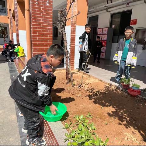 爱与美好，精彩绽放。——洛宁新宇小学三一班一周记实