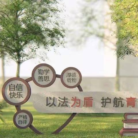 乘着法律的春风，呵护未成年人成长——洼里王学区“法治进校园”普法教育活动