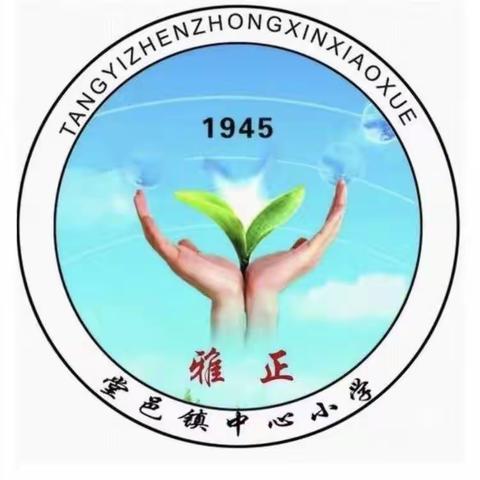 【全环境立德树人】堂邑镇中心小学开展“2023年山东省5·25学生心理健康日主题活动”培训